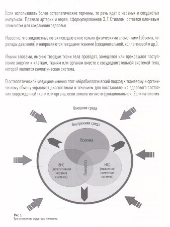 Нейровегетативная система